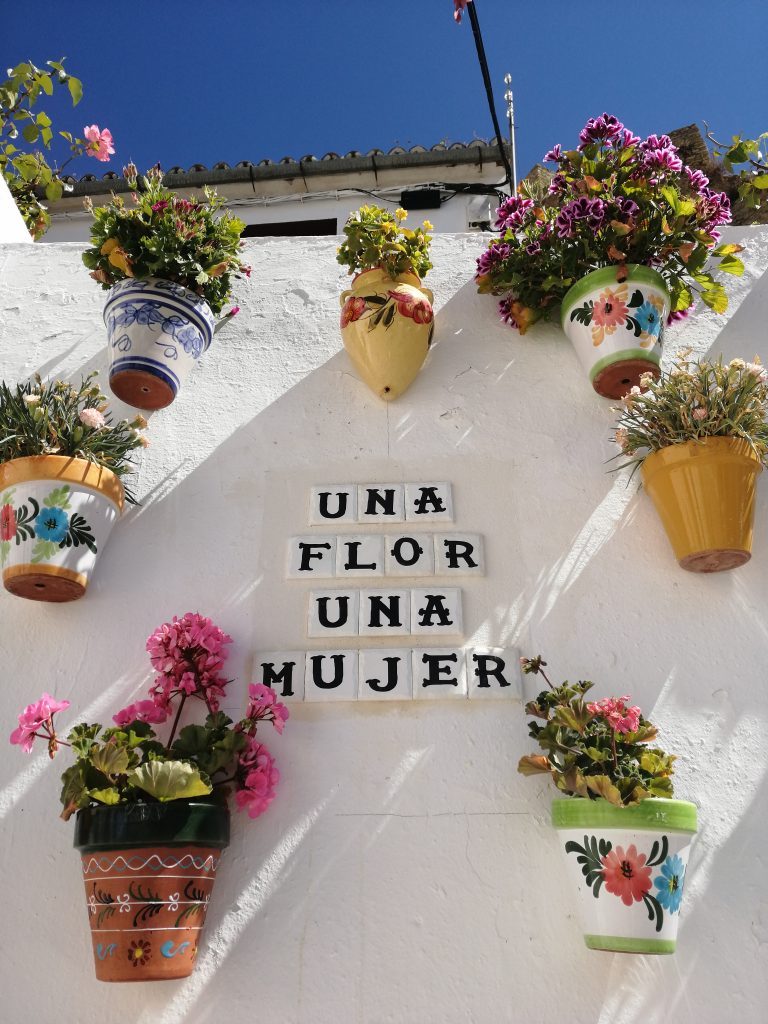 Setenil de las Bodegas - Kaspós virágok, mint dekoráció