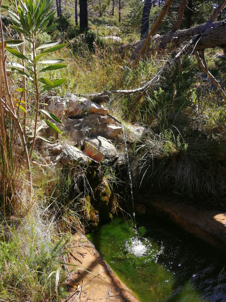 La Maroma - Fuente de la Rábita