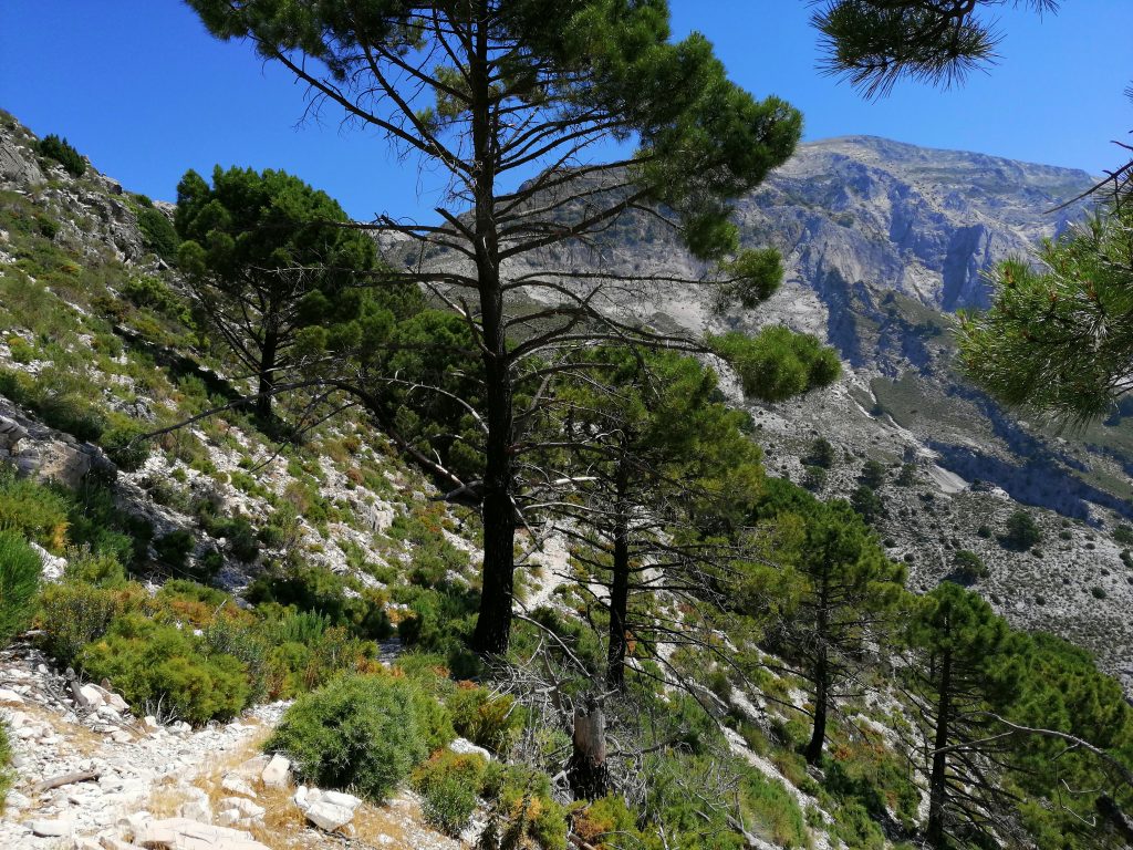 La Maroma fergeteges kilátás